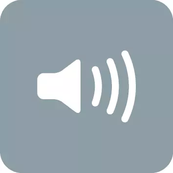 Icon_Ton.webp