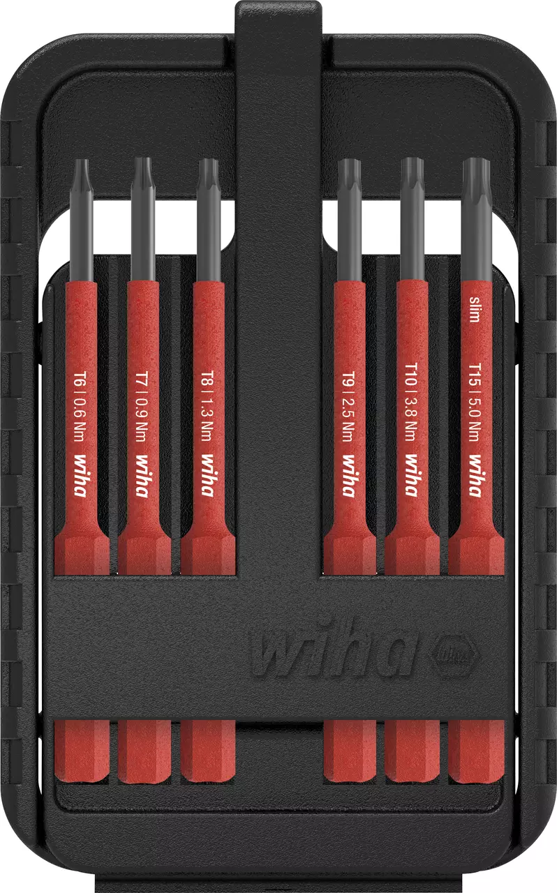 Black case with six red screwdriver bits, labeled T6 to T15, arranged vertically.