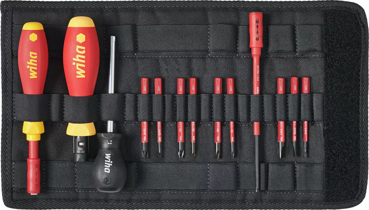 Tool set with two screwdrivers and multiple red bits in a black fabric case.