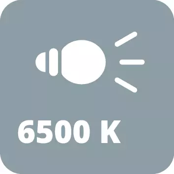 Icon_Worklight_Light-cold_6500K.webp