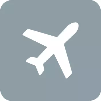 Icon_VDEKoffer_Flugtauglichkeit.webp